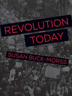 Revolution Today de Susan Buck-Morss