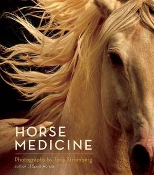 Horse Medicine de Tony Stromberg