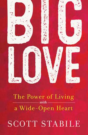 Big Love de Scott Stabile