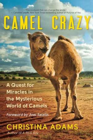 Camel Crazy de Christina Adams