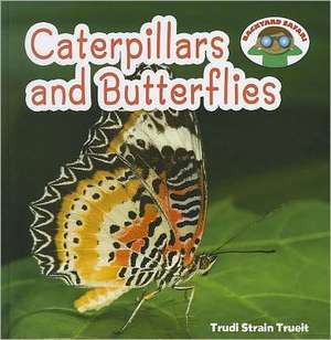 Caterpillars and Butterflies de Trudi Strain Trueit