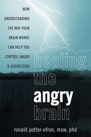 Healing the Angry Brain: How Understanding the Way Your Brain Works Can Help You Control Anger and Aggression de Ronald Potter-Efron