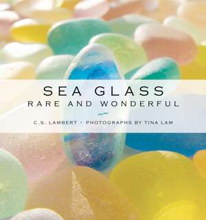 Sea Glass: Rare and Wonderful de C. S. Lambert