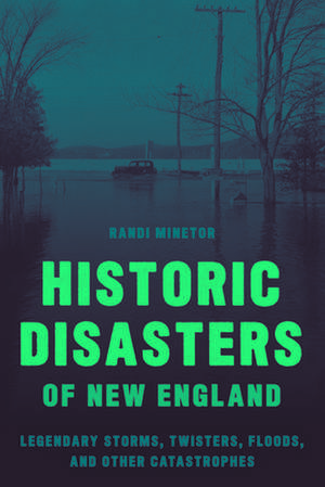 New England Disasters de Randi Minetor