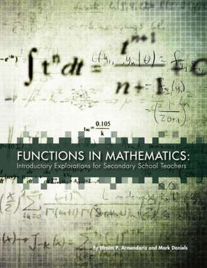 Functions in Mathematics: Introductory Explorations for Secondary School Teachers de Mark Daniels