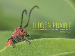 Hidden Prairie: Photographing Life in One Square Meter de Chris Helzer