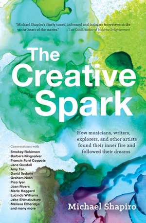 The Creative Spark de Michael Shapiro