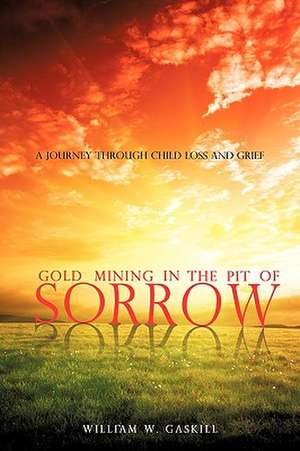 Gold Mining in the Pit of Sorrow de William W. Gaskill