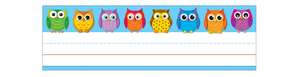 Colorful Owls Desk Nameplates de Carson-Dellosa Publishing