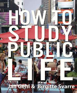 How to Study Public Life de Jan Gehl