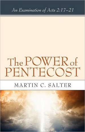 The Power of Pentecost: 17-21 de Martin C. Salter