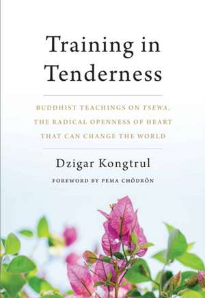 Training in Tenderness: Buddhist Teachings on Tsewa, the Radical Openness of Heart That Can Change the World de Dzigar Kongtrul