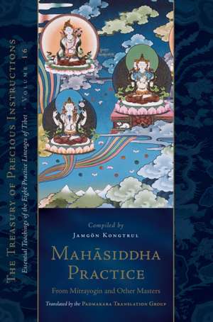 Mahasiddha Practice: From Mitrayogin and Other Masters, Volume 16 (the Treasury of Precious Instructions) de Jamgon Kongtrul Lodro Taye