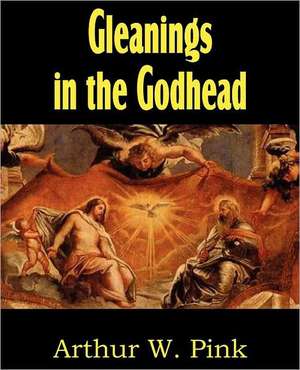 Gleanings in the Godhead de Arthur W. Pink