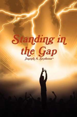 Standing in the Gap de Joseph A. Seymour