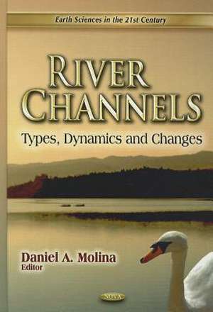 River Channels de Daniel A. Molina