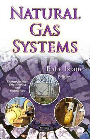 Natural Gas Systems de Rafiq Islam