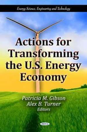 Actions for Transforming the U.S. Energy Economy de Patricia M. Gibson