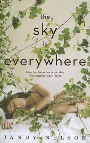 The Sky Is Everywhere de Jandy Nelson