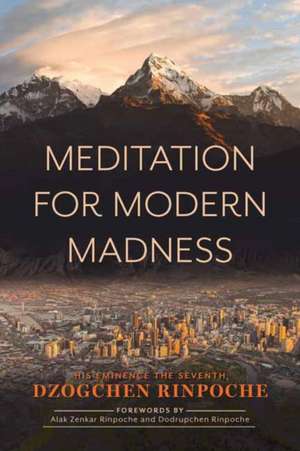 Meditation for Modern Madness de Dzogchen Rinpoche