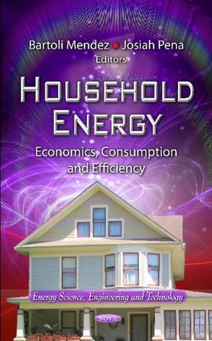 Household Energy: Economics, Consumption and Efficiency de Bartoli Mendez