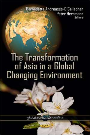 Transformation of Asia in a Global Changing Environment de Bernadette Andreosso-O'Callaghan