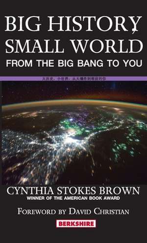 Big History, Small World de Cynthia Stokes Brown