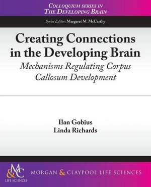 Creating Connections in the Developing Brain de Ilan Gobius