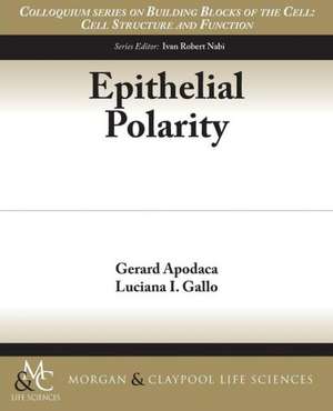 Epithelial Polarity de Gerard Apodaca