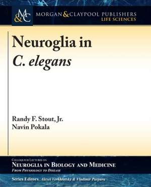 Neuroglia in C. elegans de Randy F. Jr. Stout