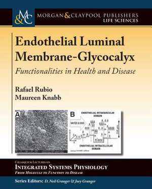 Endothelial Luminal Membrane-Glycocalyx de Rafael Rubio