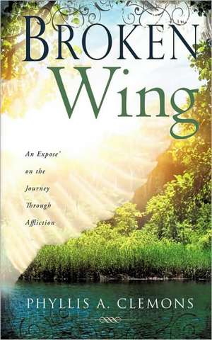 Broken-Wing: An Expose' on the Journey Through Affliction de Phyllis A Clemons