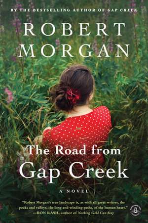 The Road from Gap Creek: Unlearning the Racist Lessons of a Southern Childhood de Robert Morgan