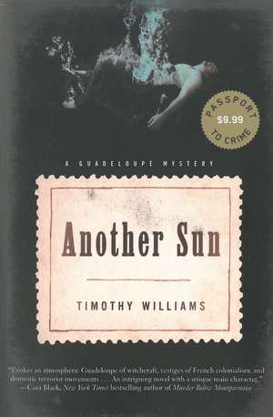 Another Sun de Timothy Williams