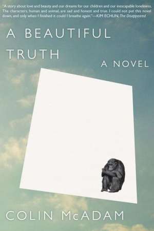 A Beautiful Truth de Colin McAdam