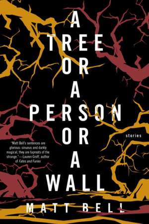 A Tree or a Person or a Wall: Stories de Matt Bell