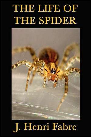 The Life of the Spider de Jean-Henri Fabre