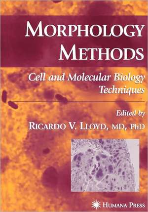 Morphology Methods: Cell and Molecular Biology Techniques de Ricardo V. Lloyd