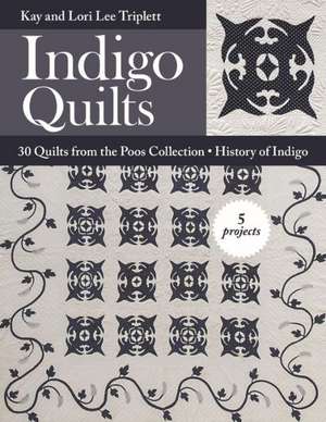 Indigo Quilts de Kay Triplett