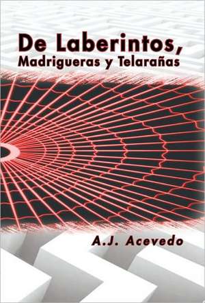 de Laberintos, Madrigueras y Telaranas de A. J. Acevedo