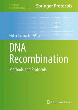 DNA Recombination: Methods and Protocols de Hideo Tsubouchi