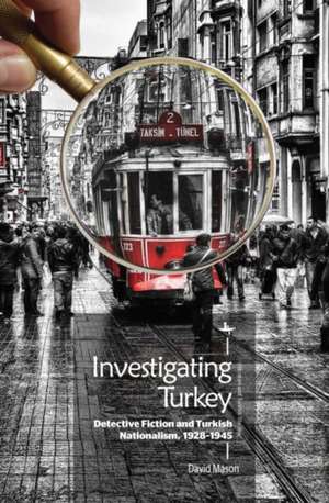 Investigating Turkey de David Mason