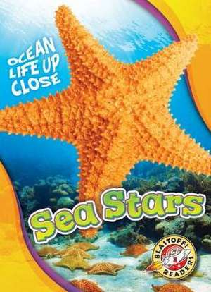 Sea Stars de Rebecca Pettiford