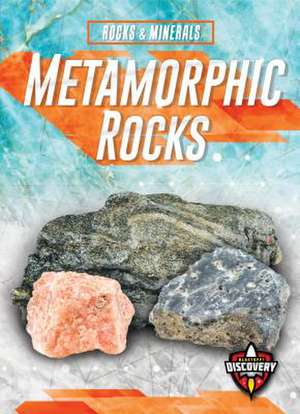 Metamorphic Rocks de Jennifer Fretland VanVoorst