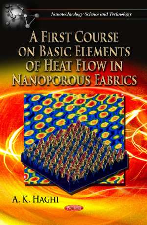 A First Course on Basic Elements of Heat Flow in Nanoporous Fabrics de A. K. Haghi