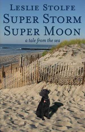 Super Storm Super Moon de Leslie Stolfe