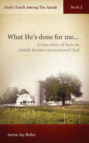 God's Touch Among the Amish, Book 1 de Aaron Jay Beiler