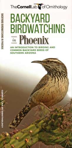 Backyard Birdwatching in Phoenix de The Cornell Lab of Ornithology