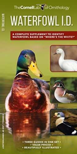 Waterfowl Id Set de Kevin J McGowan