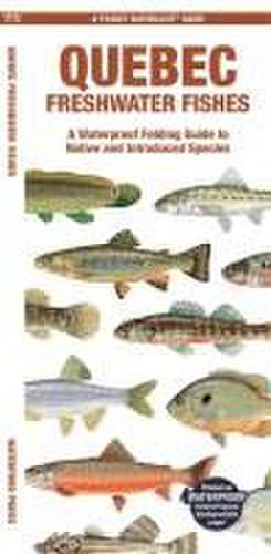 Quebec Freshwater Fishes de Matthew Morris